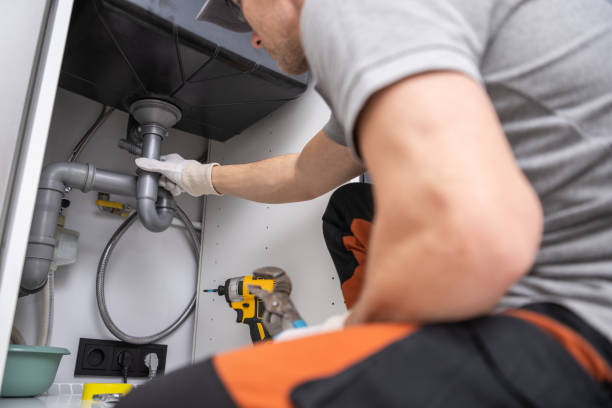 Best Plumbing Services Near Me  in Mledgevle, IL